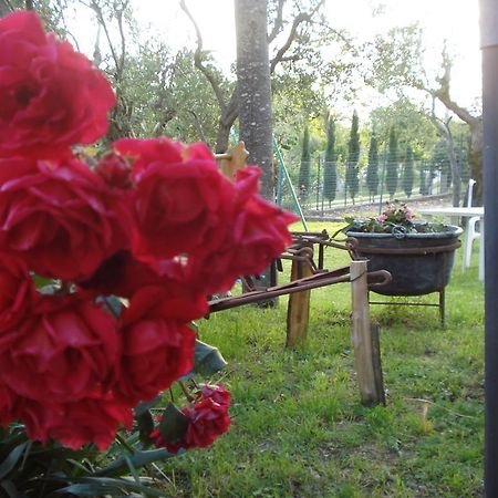 Agriturismo La Fattoria Сан-Донато-Валь-ди-Комино Экстерьер фото